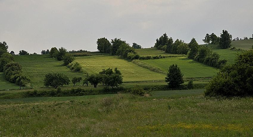 Heckenlandschaft in den s.g. Heiligen Drei Ländern (Etzmannsdorf, Wanzenau und Wolfshof) bei Gars am Kamp