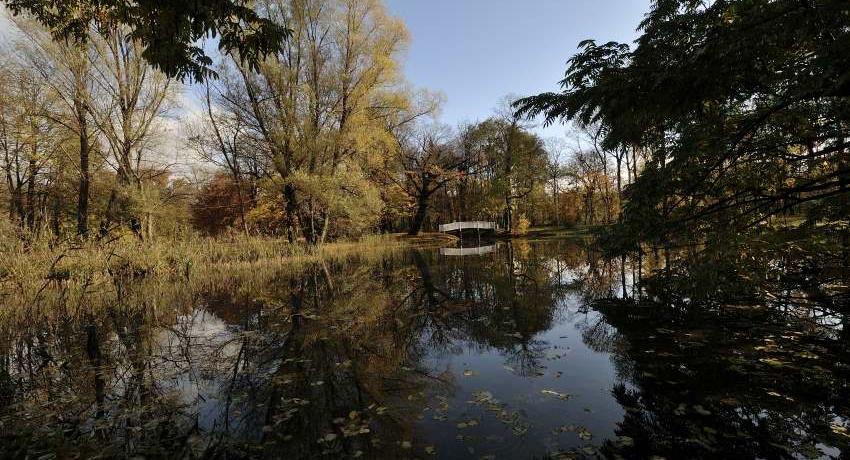 Teich mit rekonstuierter Weißer Brücke im Hintergrund