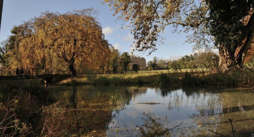 Parkgewässer im Vordergrund, links Brücke mit Hänge-Hainbuche (Carpinus betulus "Pendula") im orangegelben Herbstlaub, dahinter das Schloss Prugg