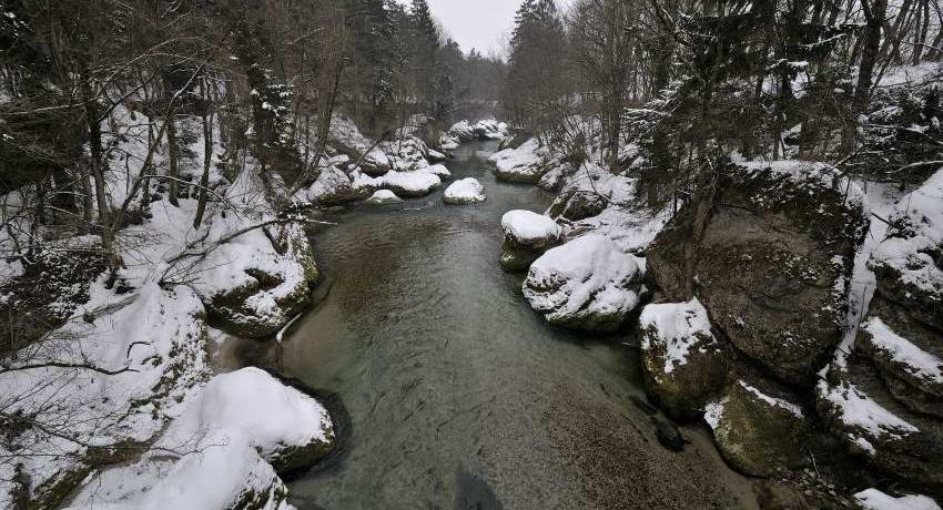 Erlaufschlucht mit Konglomeratfelsen