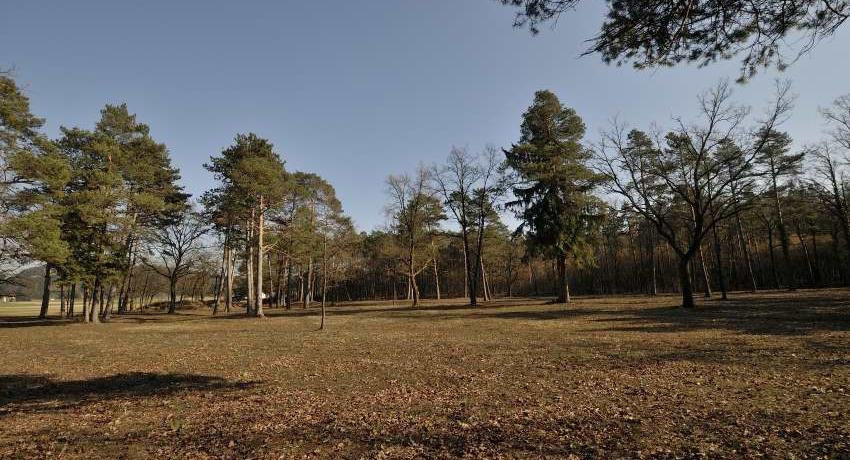 Die Heide unmittelbar nach den Rodungen