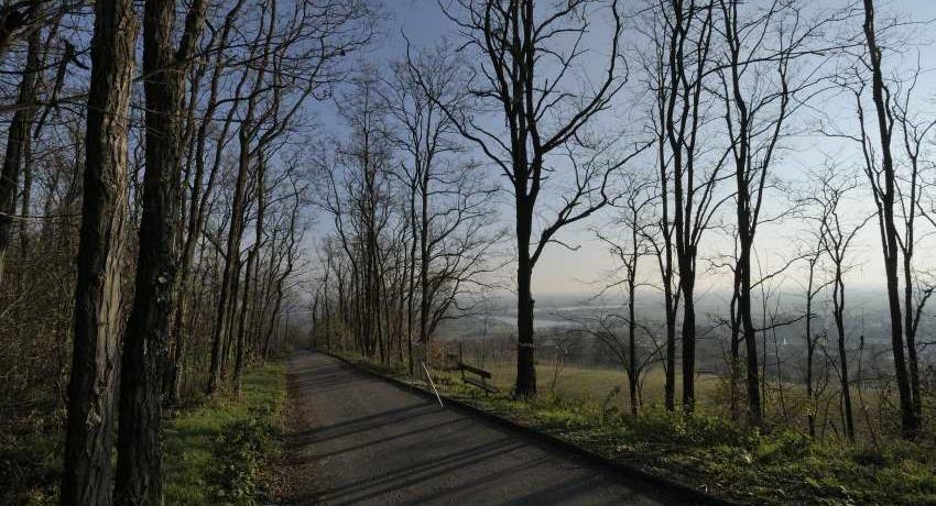 Ausblick am Wanderweg