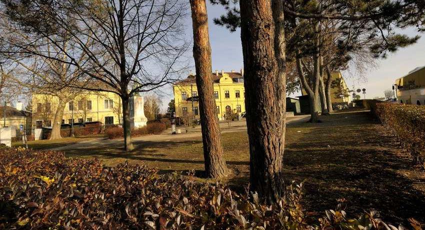 Gemischter Baumbestand im Kaiserpark