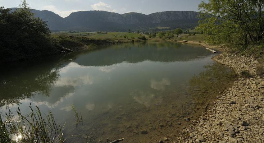 Teichfläche 2020, Blick Richtung Hoher Wand