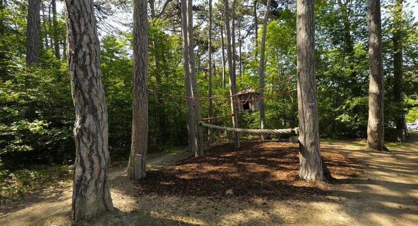 An Schwarzkiefern montiertes Baumhaus und Kletterseile