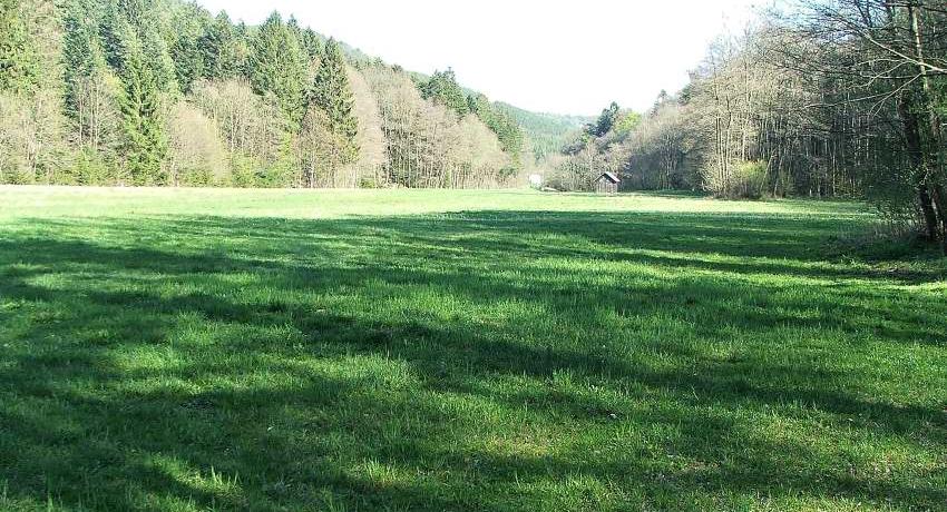 Der Feuchtbiotopsstandort vor der Planung im Jahr 2007