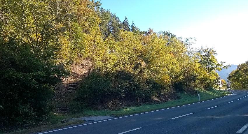 Gesamtansicht der Gaadener Ölberggruppe vor Beginn der regelmäßigen Pflege im Herbst 2017. Der Hang war stark mit Robinien zugewachsen, die Skulpturen kaum mehr sichtbar.