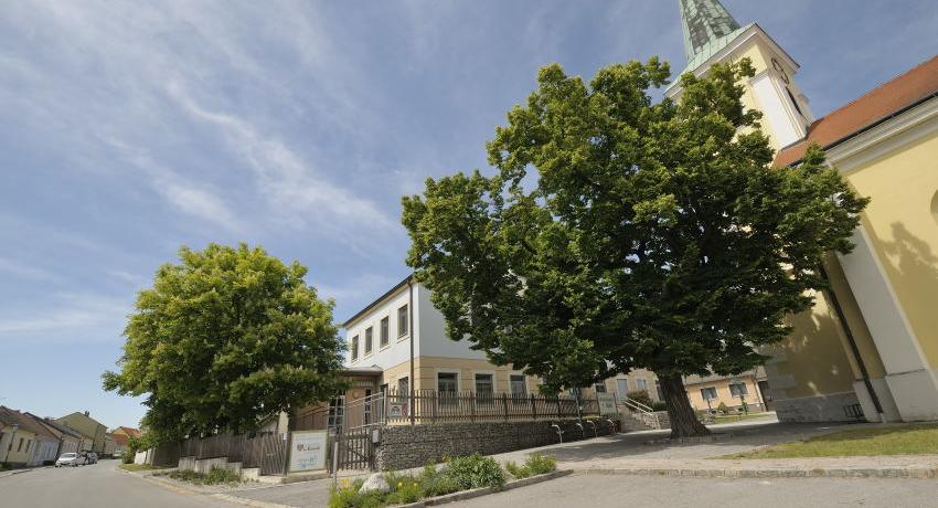 Alte Linde neben der Kirche und Rosskastanien bei der Volksschule