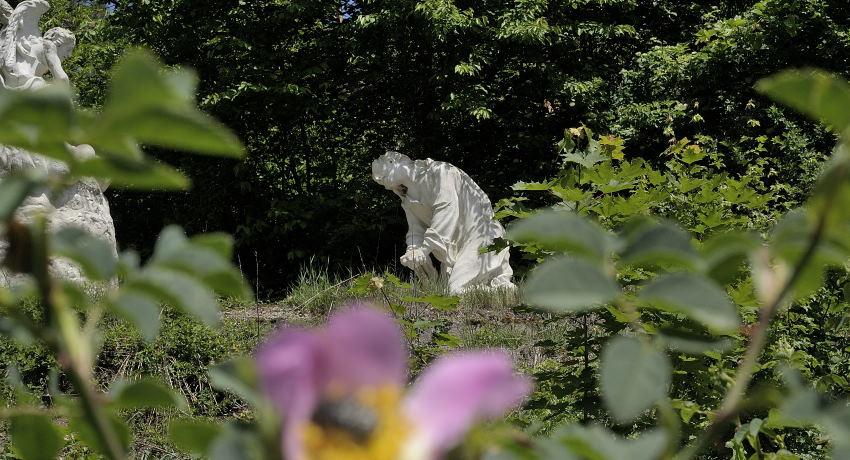 Rosenblüte - unscharf - im Vordergrund, dahinter der leidende Jesus