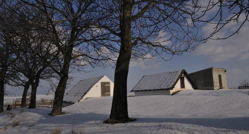 Presshäuser im Schnee