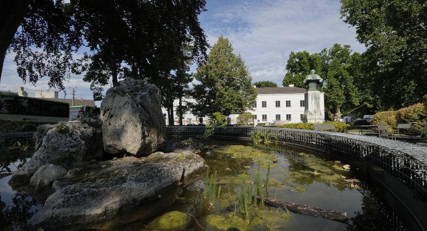 Wasserbecken mit Felsen und Blick auf den Kaiser