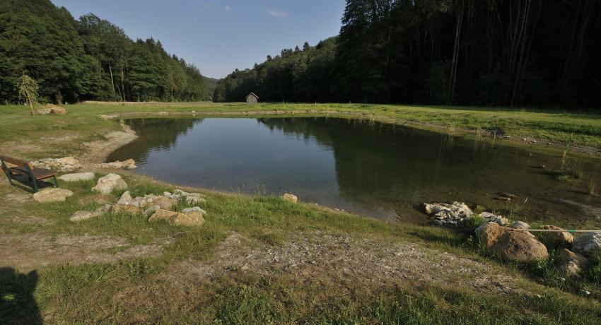 Weiher im Jahr 2010 knapp nach dem Bau