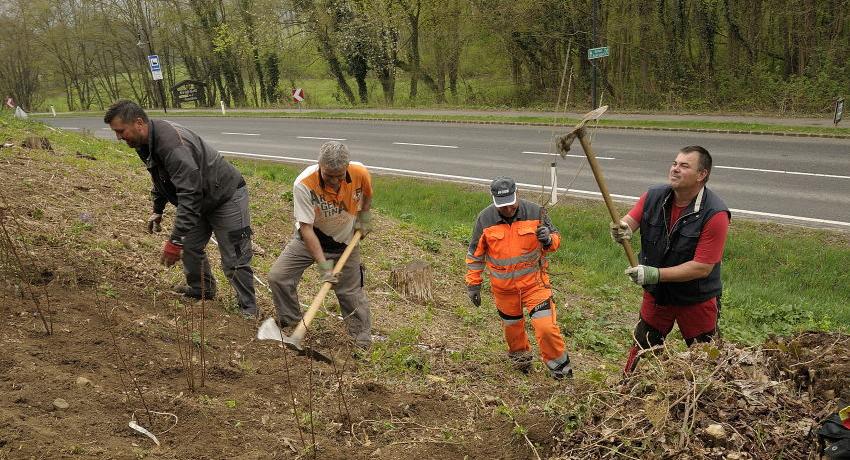 Die fleißigen Mitarbeiter der Forstverwaltung des Stiftes Heiligenkreuz im Dienste des Herrn bei der Anpflanzung der Sträucher im Frühjahr 2018