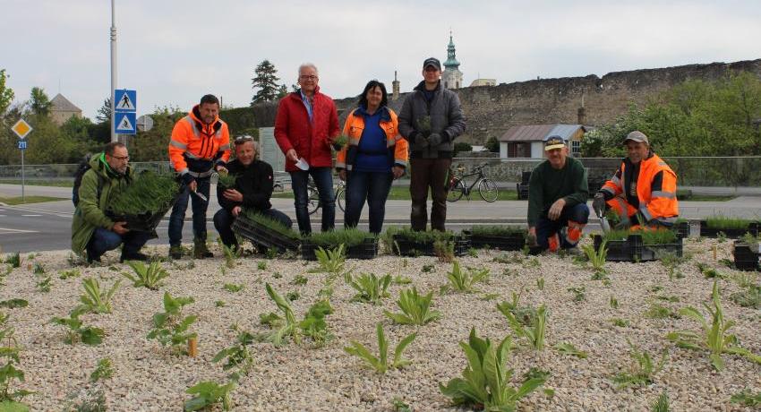 Bei der Bepflanzung des Kreisverkehrs im Frühjahr 2019: Bgm. Weil, Vbgm. Brunnthaler, Bauhofleiter Gutdeutsch und ein Teil der fleißigen Bauhofmannschaft gemeinsam mit mir. © Stadtgemeinde Bruck an der Leitha