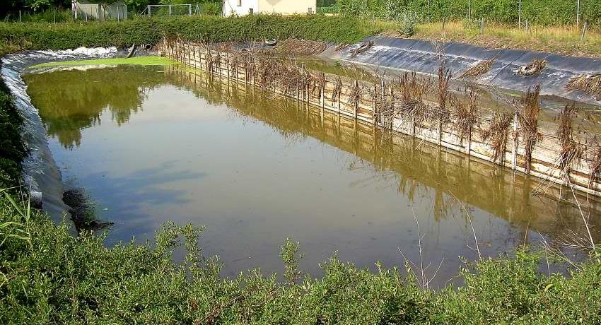 Klärteich mit erkennbarer Folienabdichtung, vor dem Umbau in ein Feuchtbiotop im Sommer 2007