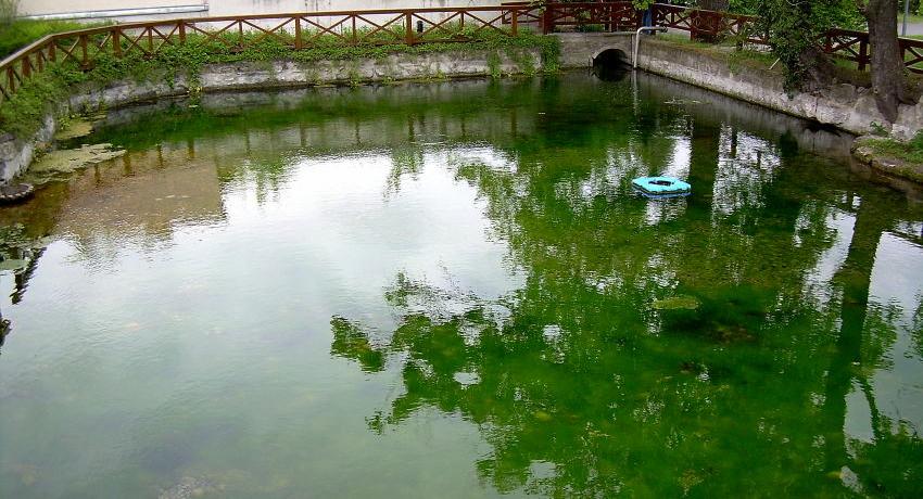 Der Atzlerteich 2008 vor der Umgestaltung war ein stark veralgter, naturferner Zierteich