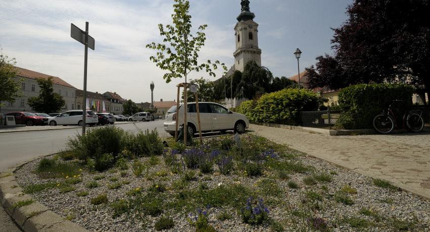 Staudenbeet am Hauptplatz im ersten Frühling nach der Bepflanzung im Herbst 2019