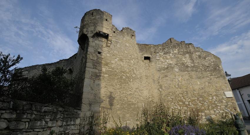 Die Pechnase an der Brucker Stadtmauer – im Vordergrund das pannonische Staudenbeet