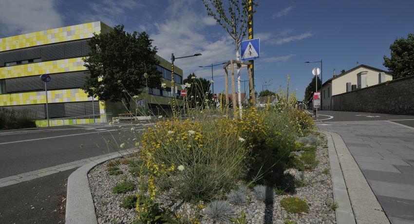 Staudenbeet an der Fischamender Straße, die Bepflanzung wurde farblich auf die Fassadengestaltung des Gymnasiums abgestimmt