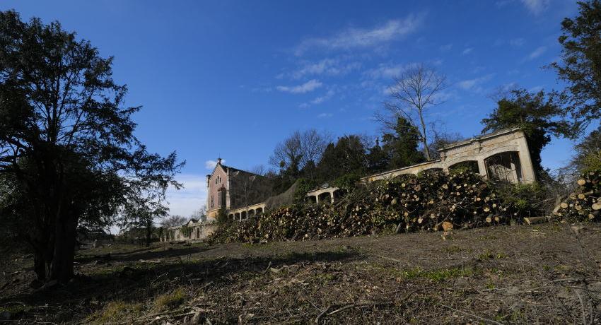 Blick auf die Orangerie nach den Schlägerungen 2020