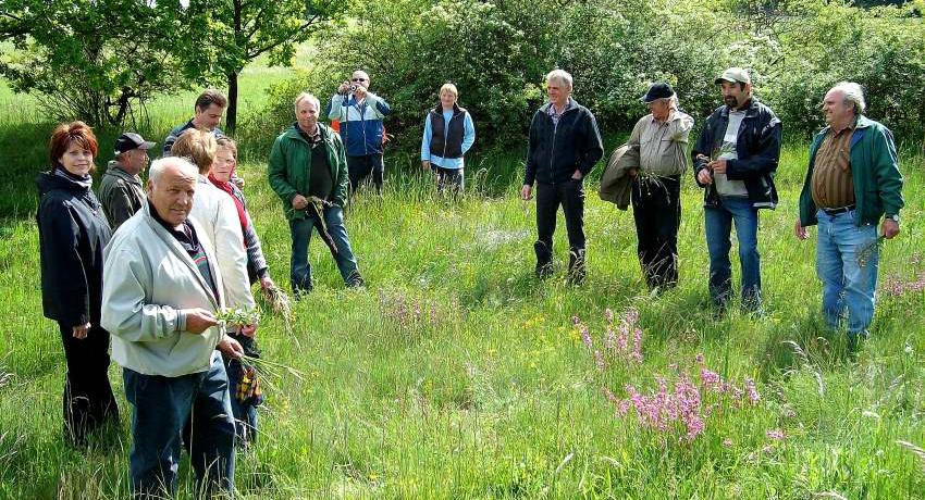 LandwirtInnen bei einer artenreichen Trockenwiese in Etzmannsdorf
