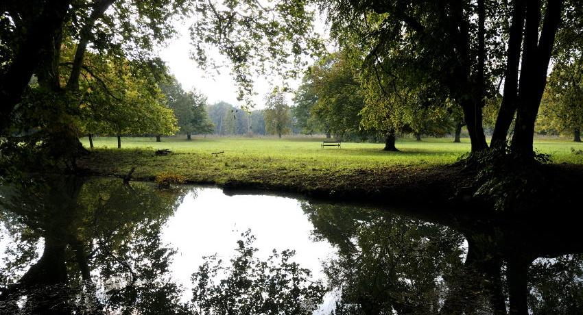 Zentraler Bereich des Harrachparks – die Wiese im Mittelgrund war urspünglich ein Eichenwäldchen