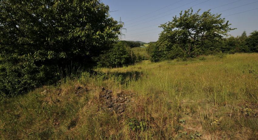 Außergewöhnlich strukturreiche Landschaft mit Lesesteinbiegeln, Halbtrockenrasen, Begrünten Ackerflächen und Kleingehölzen in den „Heiligen Drei Ländern“ bei Gars am Kamp