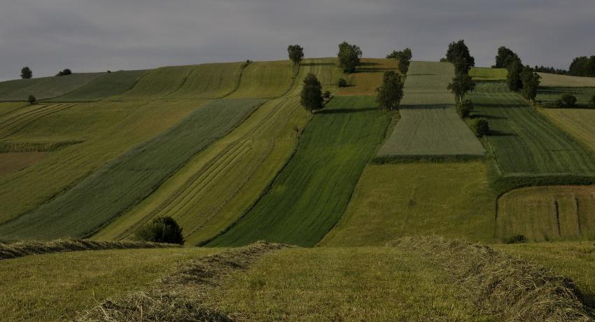 Stufenraine, Hecken und Einzelbäume – strukturreiche Ackerlandschaft im mittleren Kamptal, die wenigen Wiesen hier, wie die im Vordergrund, haben daher besonders große Bedeutung für den Naturschutz