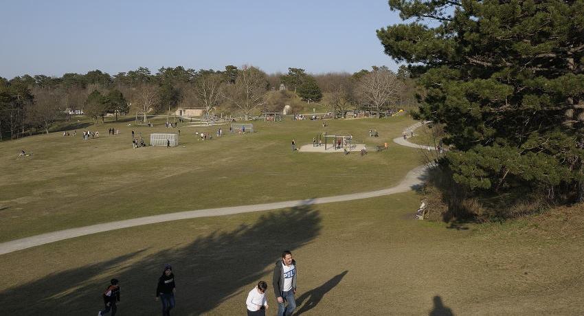 Der weiträumige Spiel- und Sportplatz am Kellerberg weist ein vielfältiges Angebot auf. Kleine gestalterische Maßnahmen mit Gehölzpflanzungen und Bodenmodellierungen, Verbesserung der Aufenthaltsbereiche und Angebote wie Natur- und/oder Wasserspielbereiche wären einfach umsetzbare Maßnahmen zur weiteren Attraktivierung.