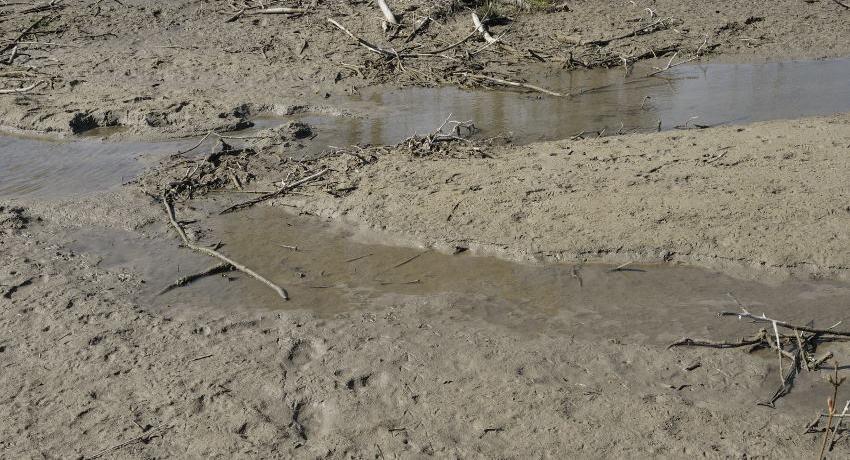 Schlammflächen mit geringen Restwassermengen