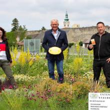 Bürgermeister Ing. Gerhard Weil, Marlene Weintritt vom Bauamt und Bauhofleiter Franz Gutdeutsch mit "Goldenem Igel" im bunt blühenden Staudenbeet beim Kreisverkehr Alte Wiener Straße im Frühjahr 2020. © Stadtgemeinde Bruck an der Leitha